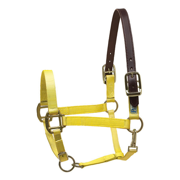 Perri's Premium Nylon Breakaway Halter