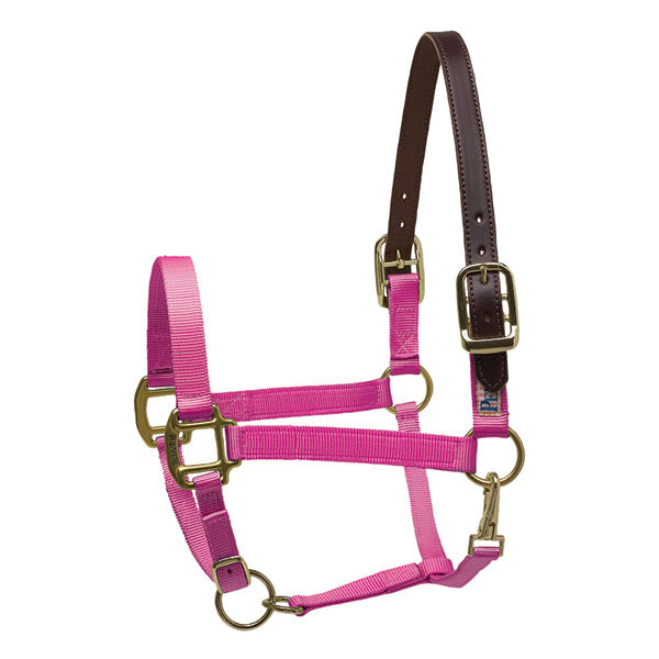 Perri's Premium Nylon Breakaway Halter