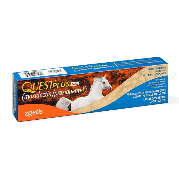 Quest Plus