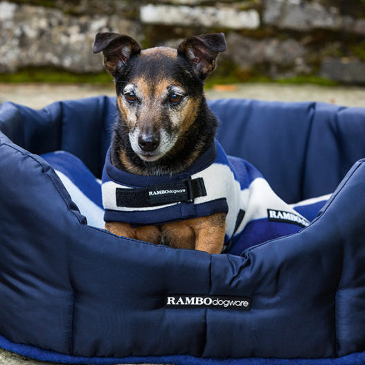 Rambo Deluxe Dog Rug