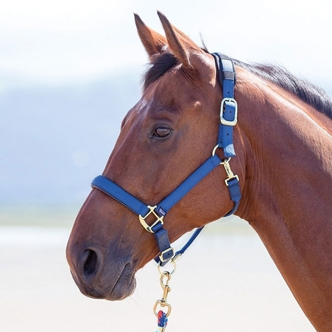 Topaz Breakaway Halter