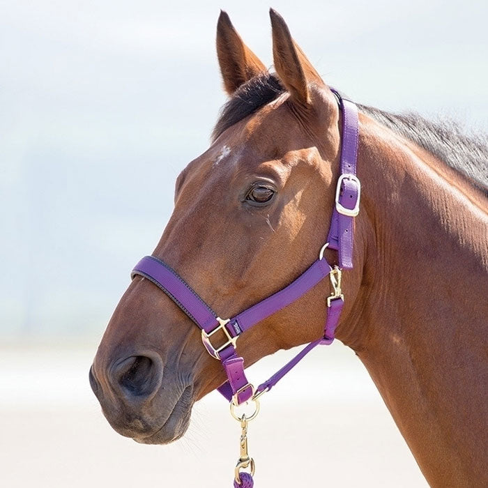 Topaz Breakaway Halter