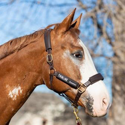 ThinLine Better Than Fleece Halter Cover Kit