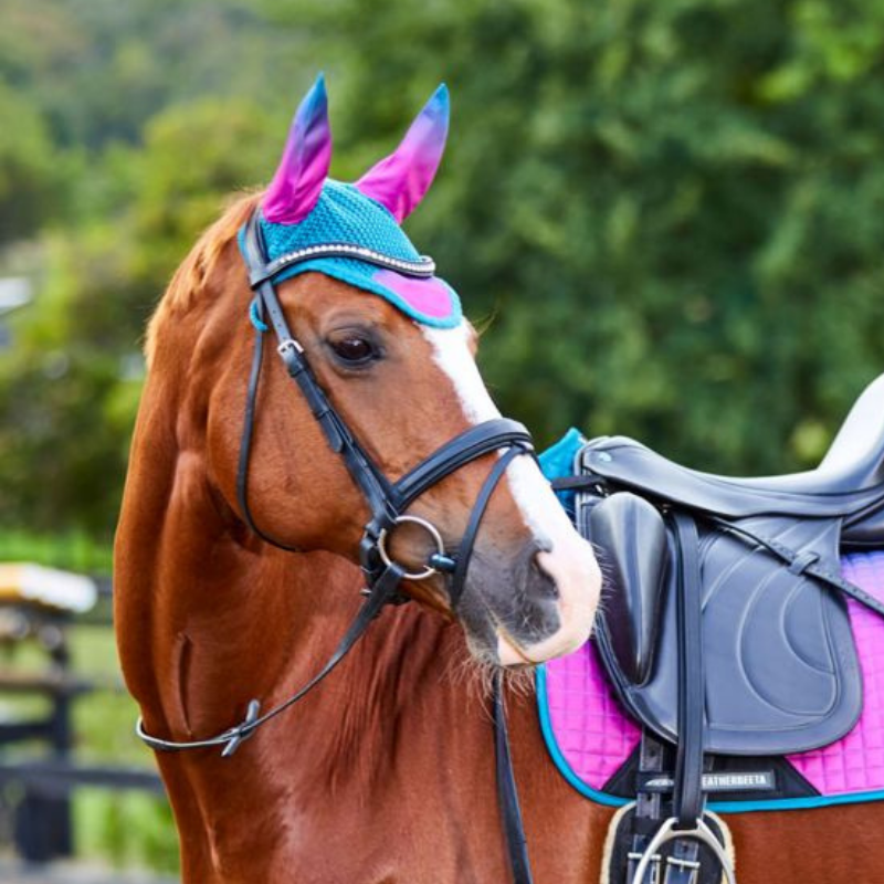 Weatherbeeta Prime Ombre Ear Bonnet,  Midnight Aurora