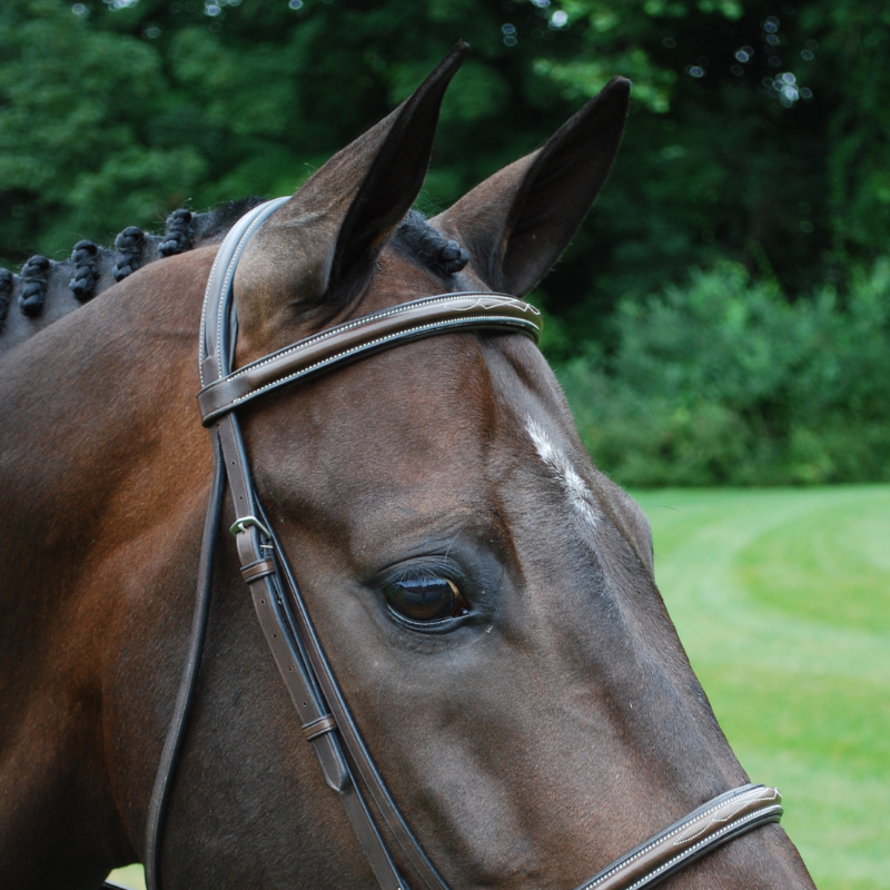 KL Venezia Replacement Browband