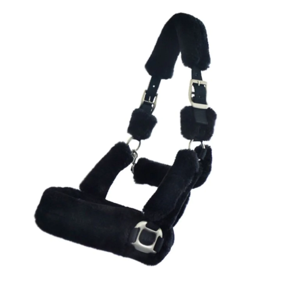 Kavalkade Transport Halter with Fleece