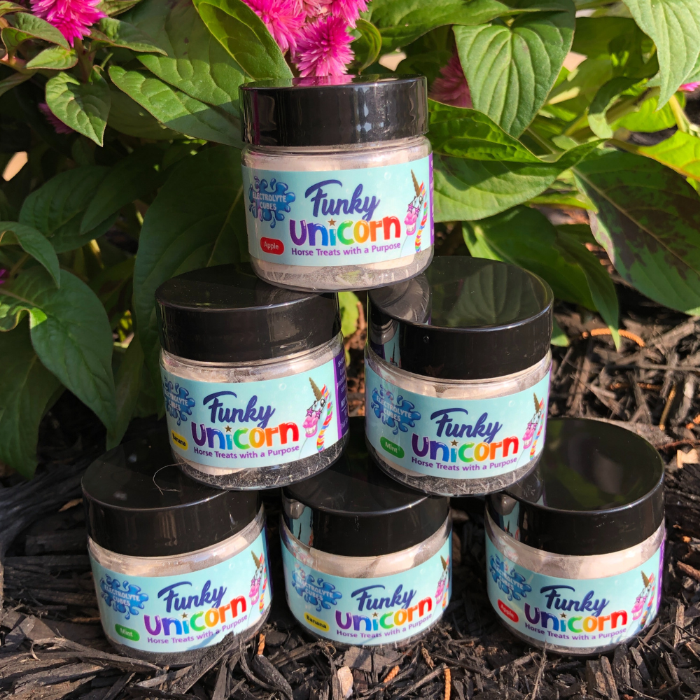 Trial Size Funky Unicorn Electrolyte Cubes, 1 oz