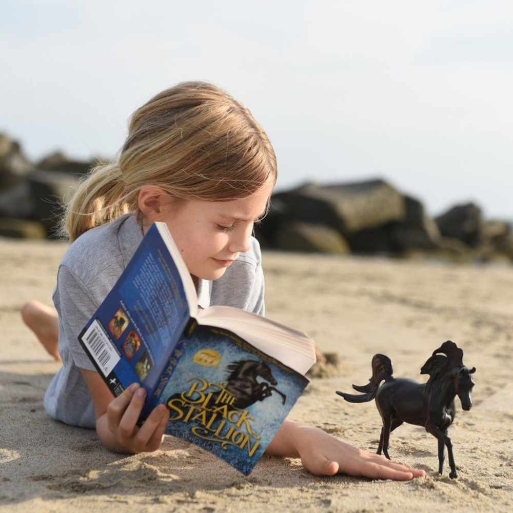 Breyer Classics Black Stallion Horse & Book Set