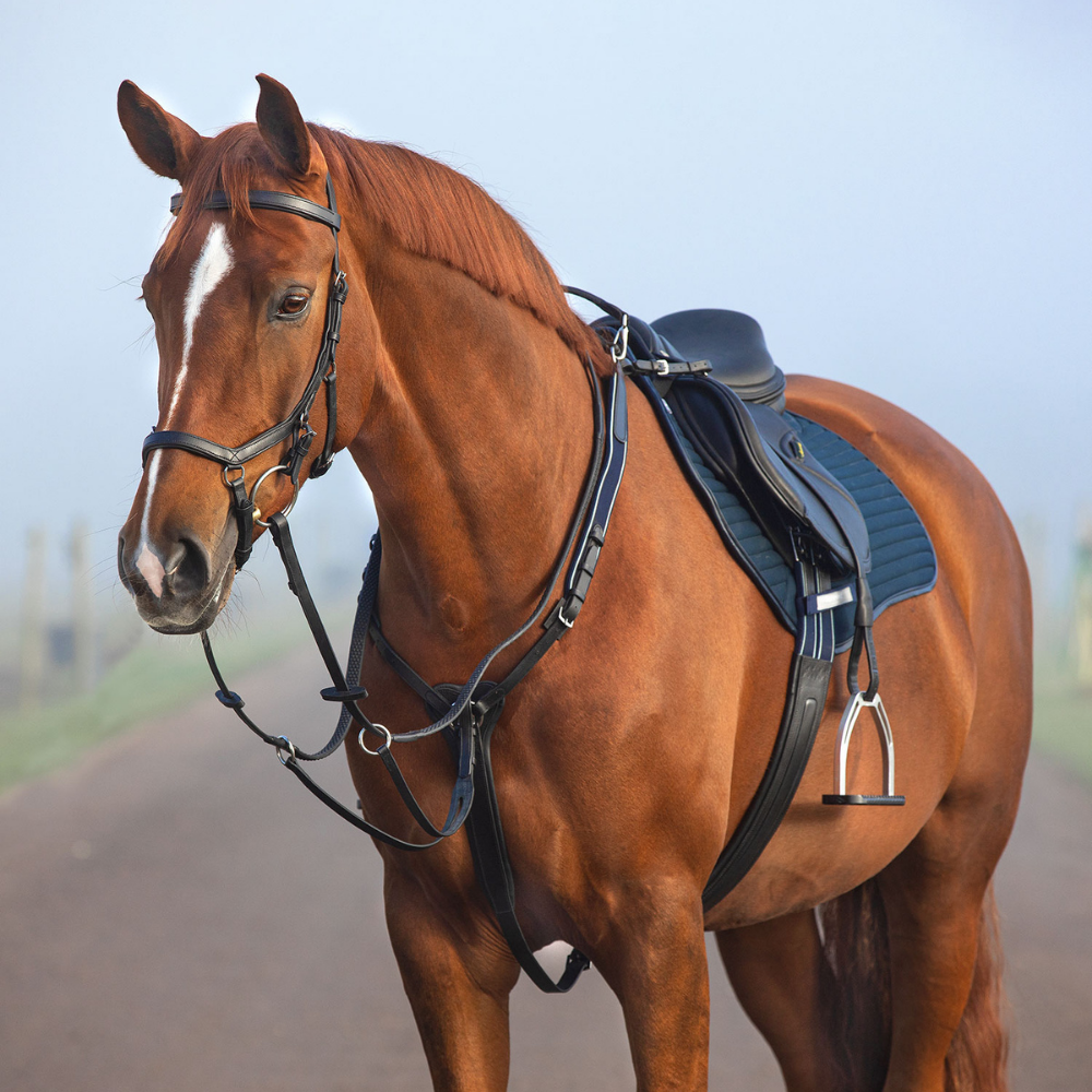 Rambo® Micklem® Breastplate