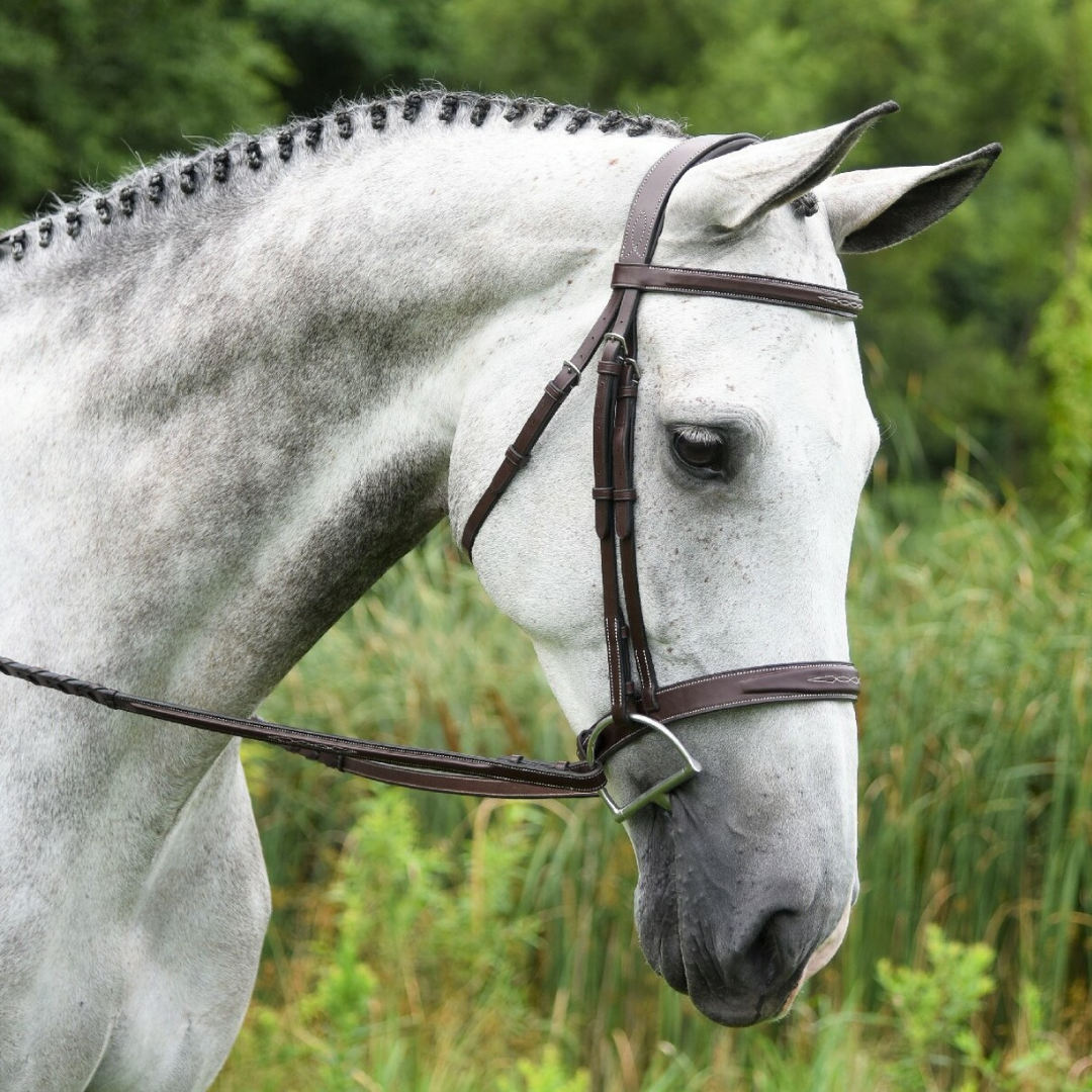 Red Barn Indio Unpadded Bridle