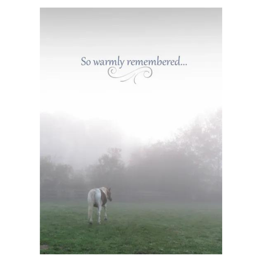 Sympathy-Paint Horse