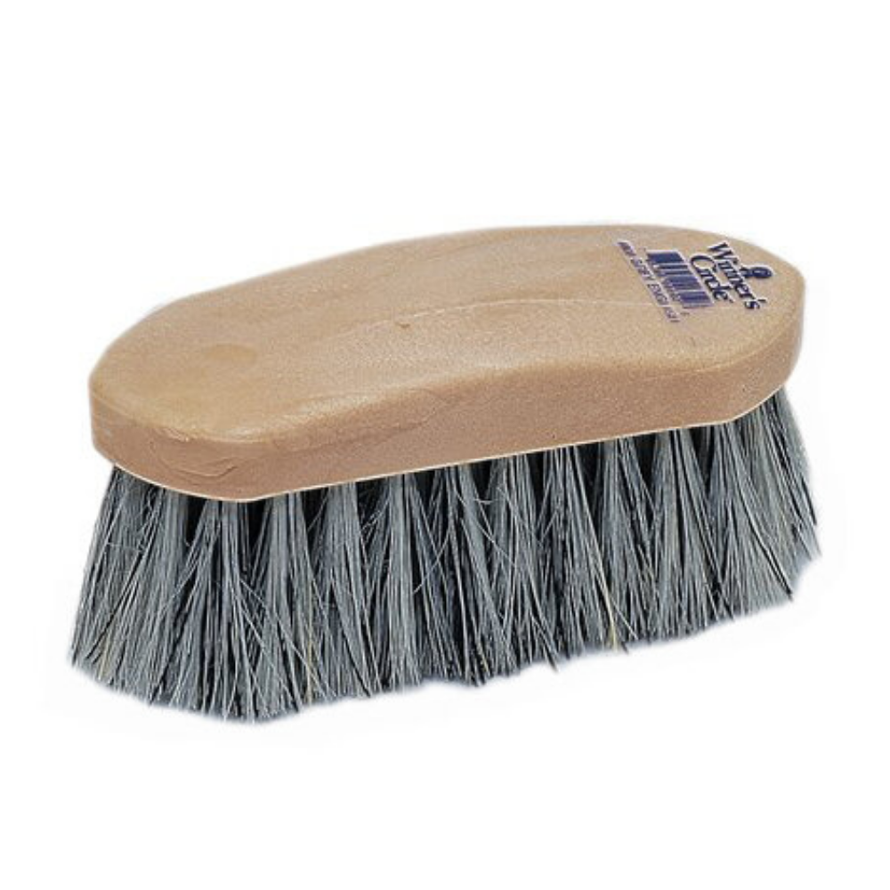 Winner's Circle 6 1/4" Grey English Fibre, Plastic Back Dandy Brush