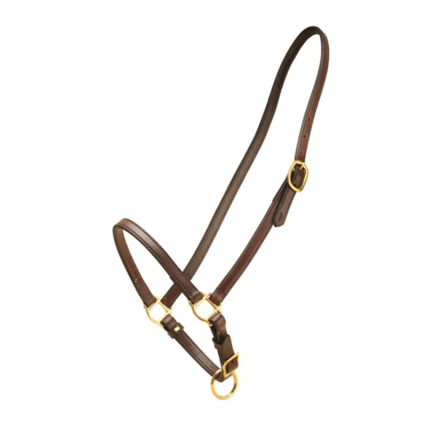 Tory Leather Grooming Halter