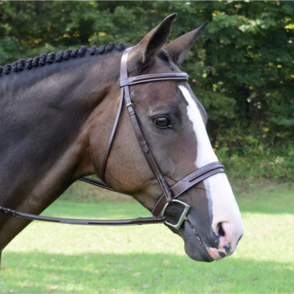 Red Barn Sonoma Unpadded Bridle