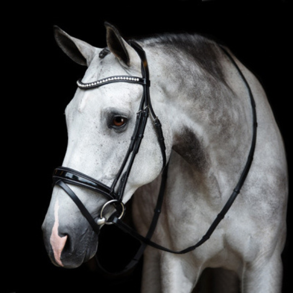 Red Barn Pace Dressage Patent Bridle