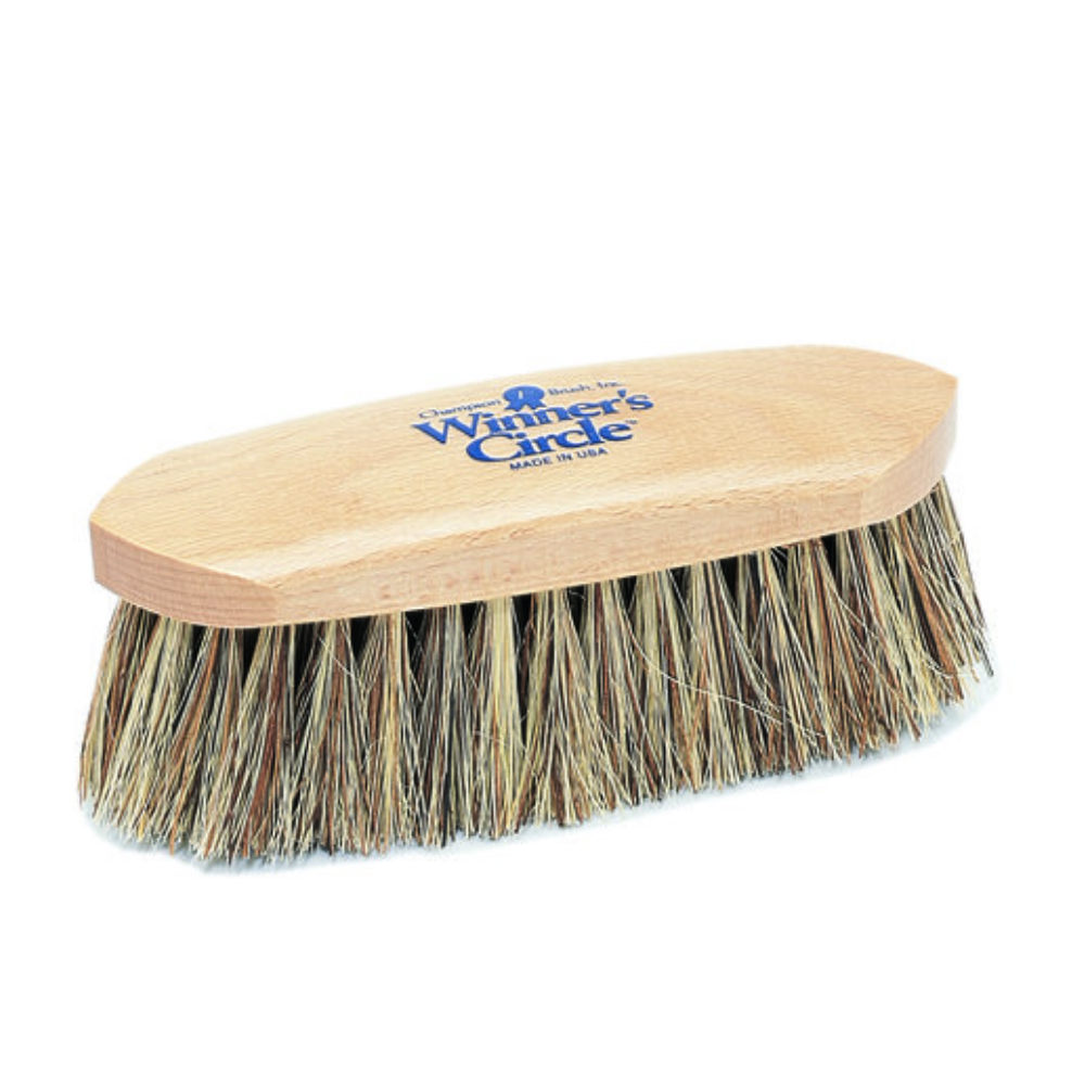 Winner's Circle 7 1/2" Union Fiber Dandy Brush