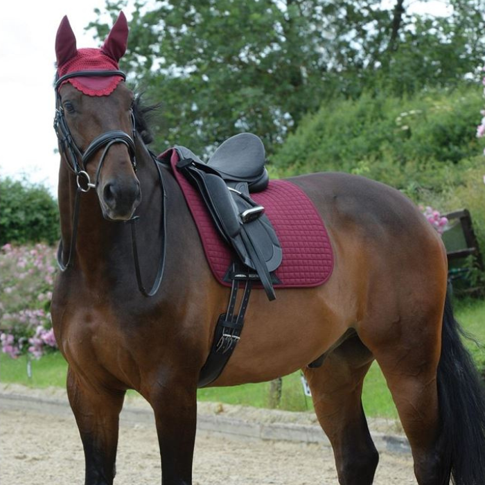 WeatherBeeta Prime Dressage Pad,  Maroon