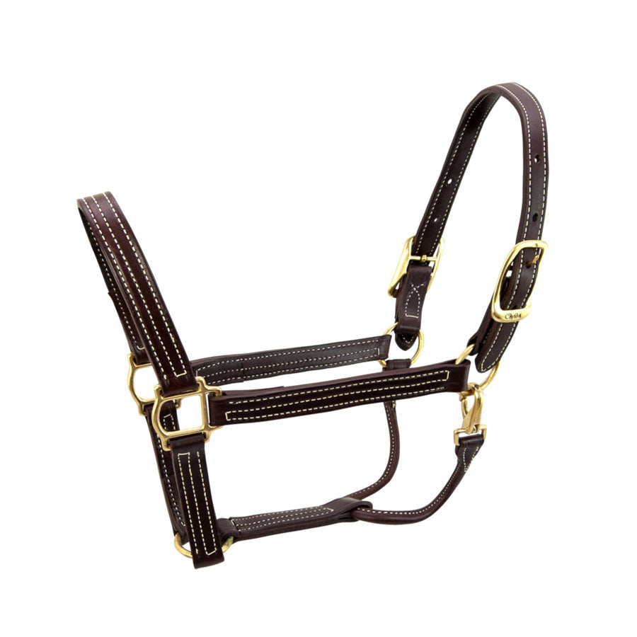 Walsh British Halter with Snap