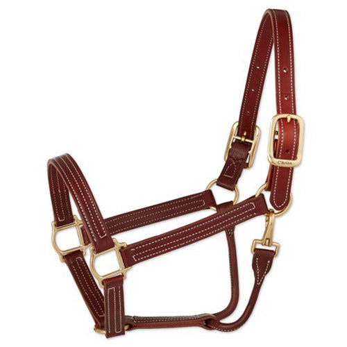 Walsh British Halter with Snap