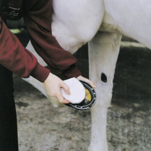 Animalintex Hoof Poultice Pad