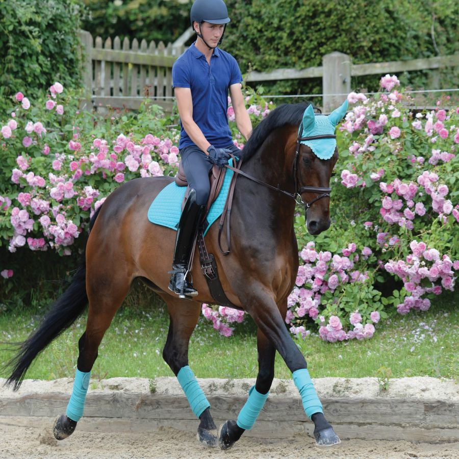 WeatherBeeta Prime Jump Saddle Pad,  Turquoise