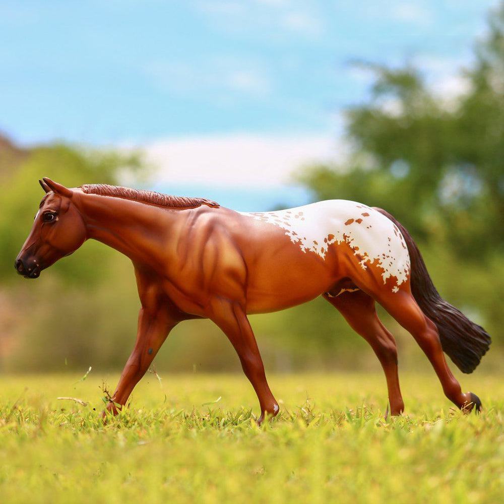 Breyer Chocolatey, Multiple World Champion