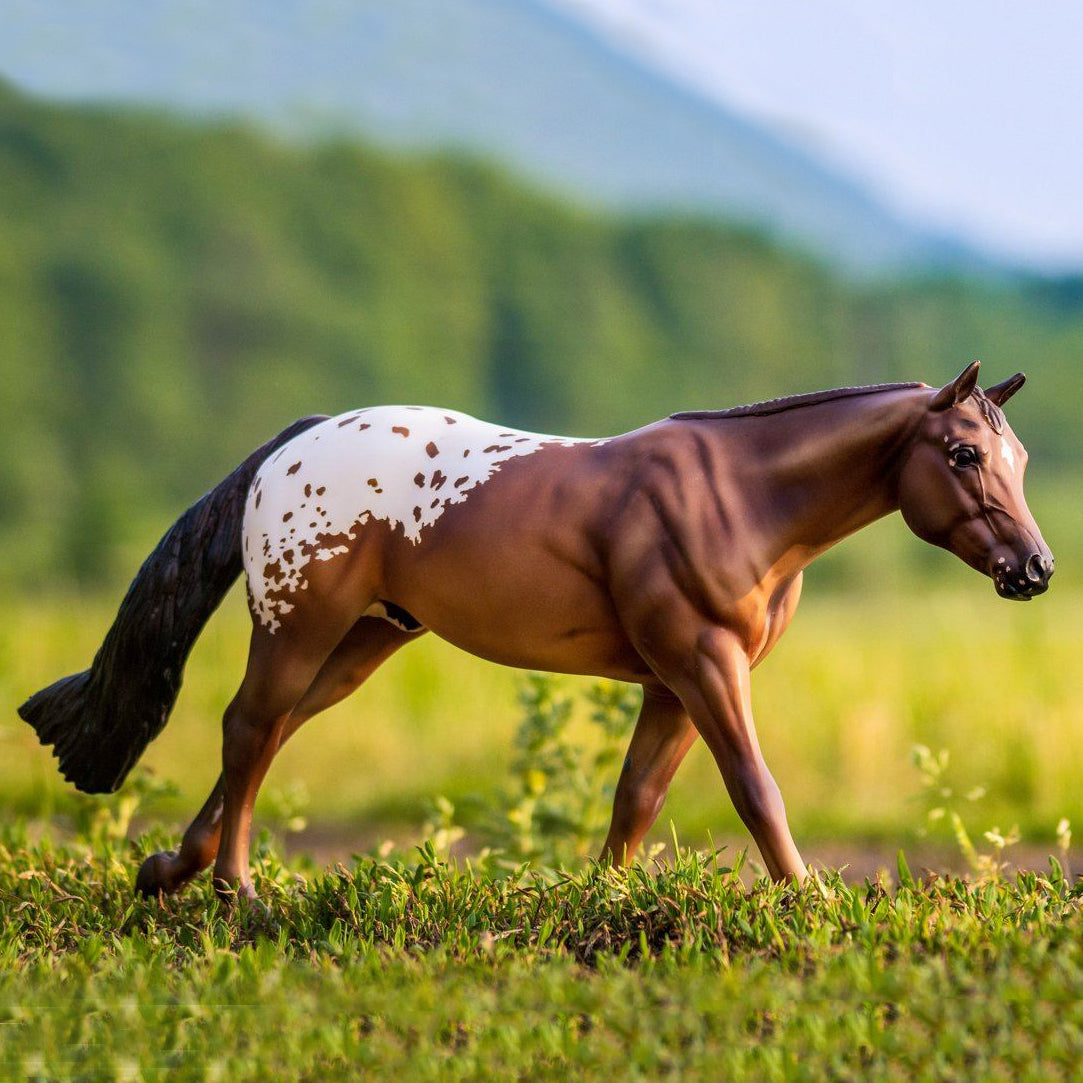 Breyer Chocolatey, Multiple World Champion