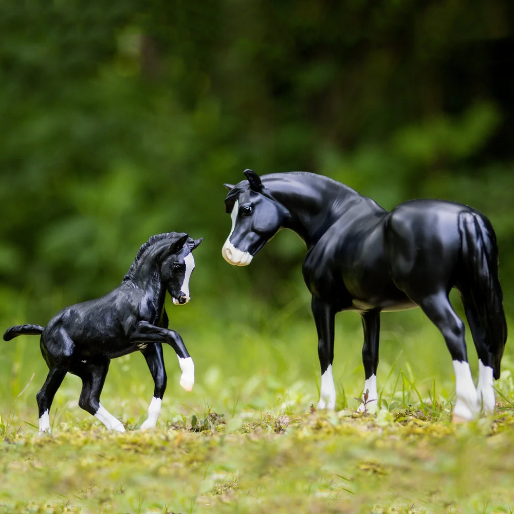 Breyer® Nistar Blazing Kansas LOM & GTF Blazing Ethel